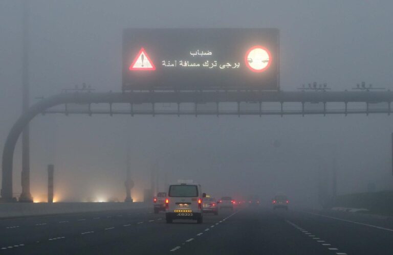 3ba1b6b5 fad4 40bd a250 03535c761d9f file.jpg