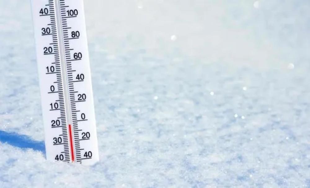 3bfe9939 ab3e 4a24 ad5b 2ff0ea287c04 file.jpg