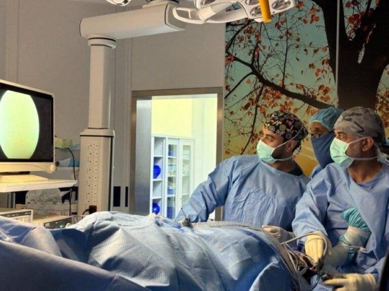 3d04941b f362 4115 8252 276b35546340 file.jpg