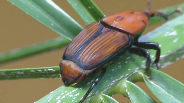 440362cc 129d 4f82 b9b0 4d3bacea160f file.jpg