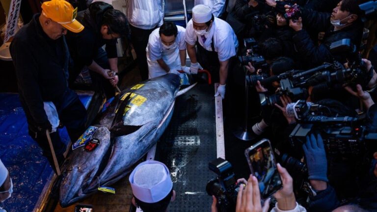 44ddb70b c193 4266 b86c 07960c280814 file.jpg