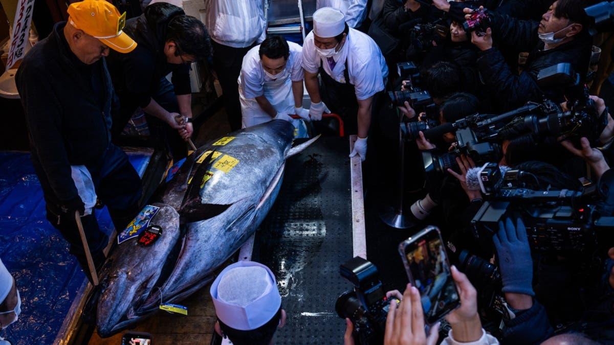 44ddb70b c193 4266 b86c 07960c280814 file.jpg