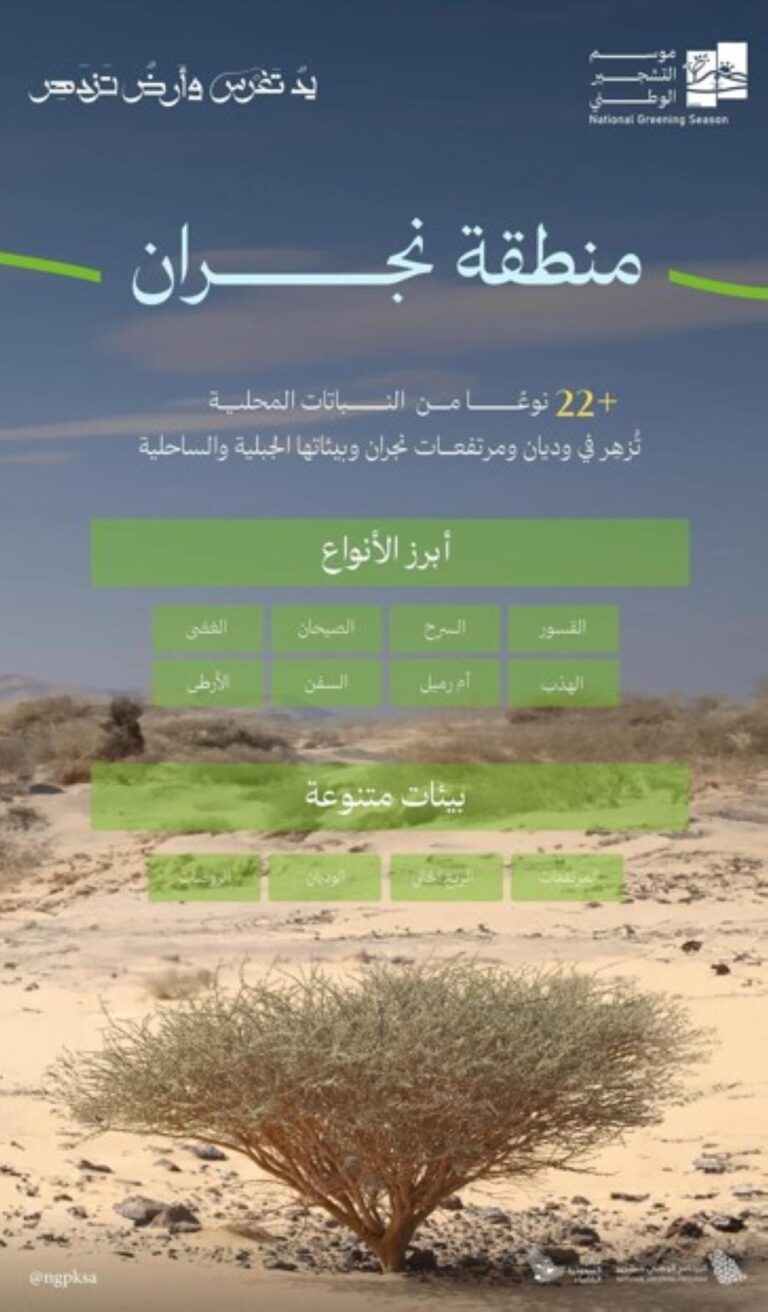 44fed7ef 7568 4217 ab13 37530bc5e930 file.jpg