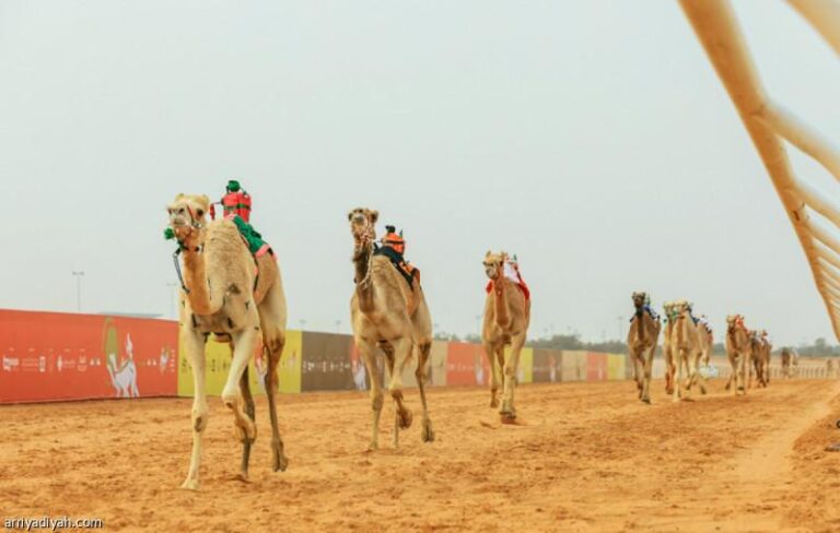 45b65556 7103 4c3f 87c2 27da114ae780 file.jpg