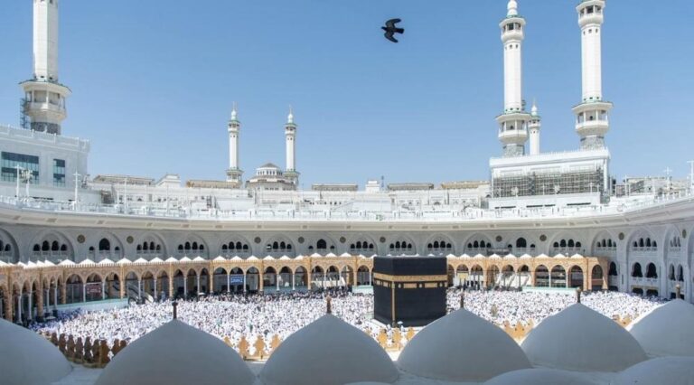 4732d594 26eb 411d a926 4e5407c54044 file.jpg