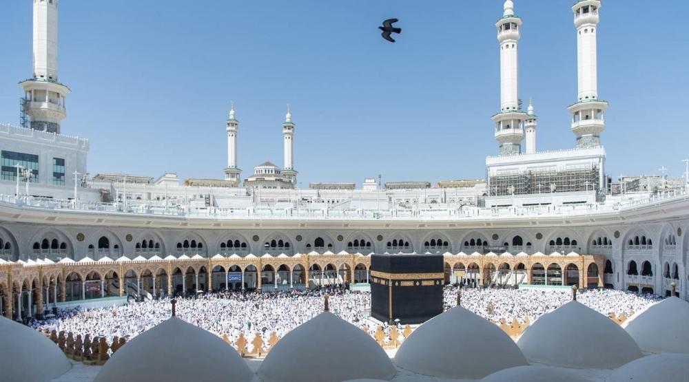 4732d594 26eb 411d a926 4e5407c54044 file.jpg