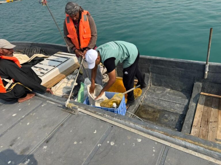 490d15b8 adc3 4729 a498 830ef0d3fb8e file.jpg