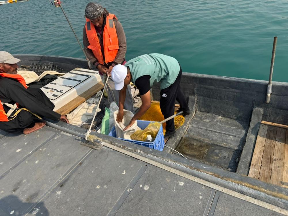 490d15b8 adc3 4729 a498 830ef0d3fb8e file.jpg