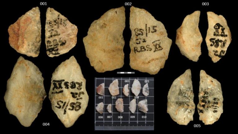 4b2e6717 03cd 4478 a634 fd42d85339f3 file.jpg