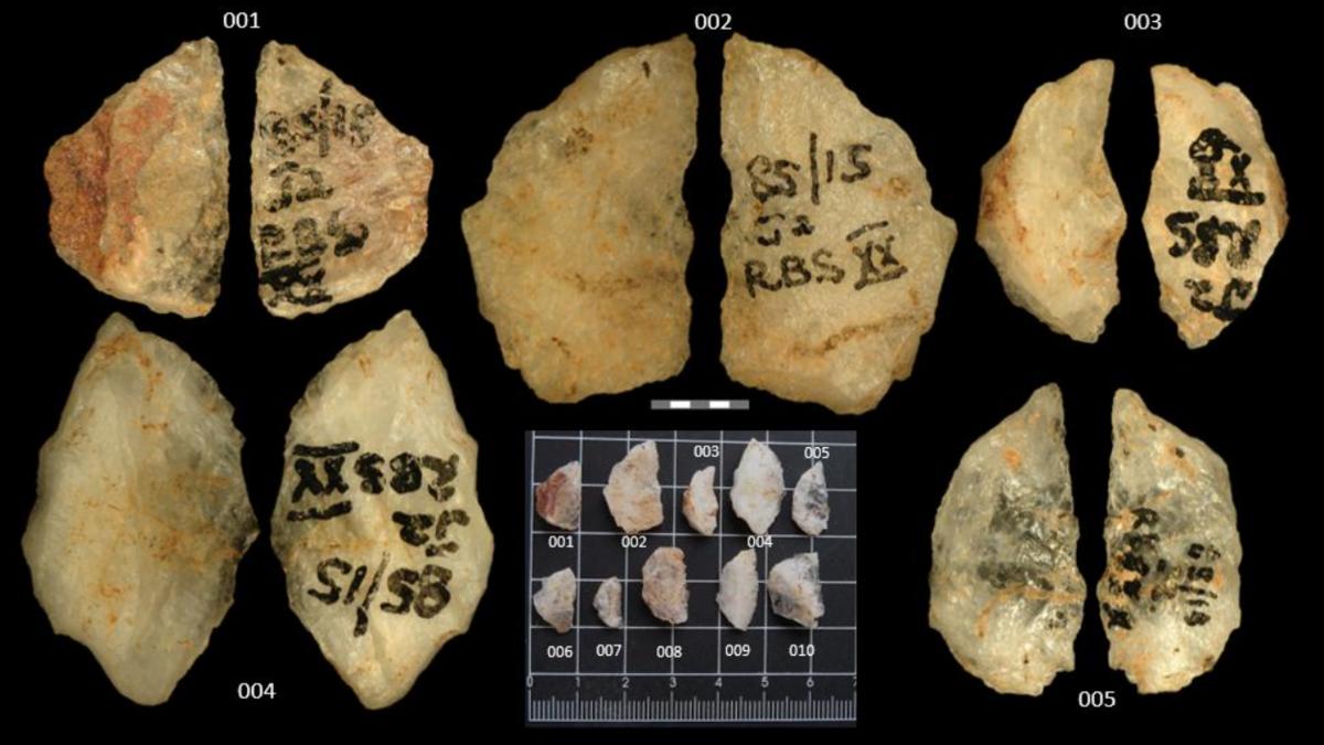 4b2e6717 03cd 4478 a634 fd42d85339f3 file.jpg