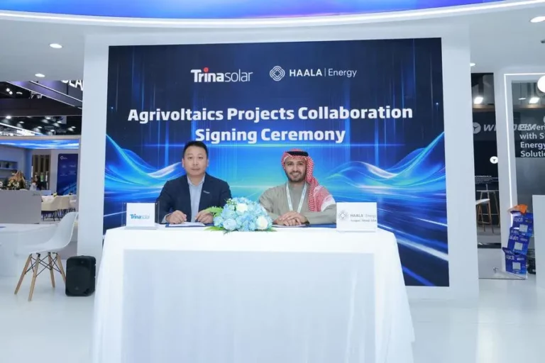 4b79cf8b 1c89 49af 934f 3fe39e8bffed zawta.webp