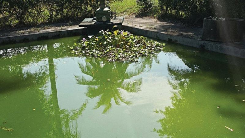 4f3193fc 7fb7 496c 9b18 be9683a244a6 file.jpg