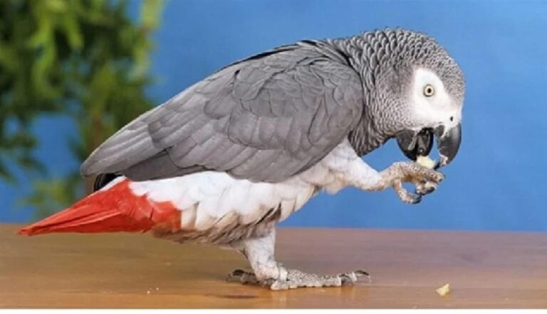 5026ad98 968e 481c 96d6 b9854735dc59 file.jpg