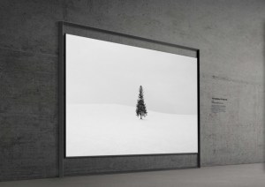 سامسونج تكشف عن أول تلفاز Micro RGB بحجم 130 بوصة وتغطية كاملة لألوان BT.2020 في #CES2026