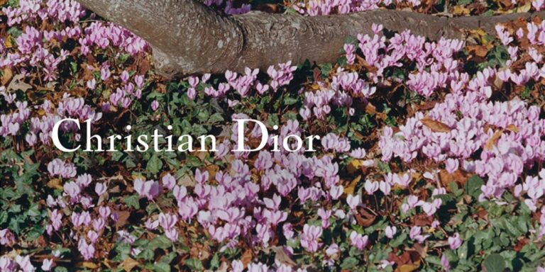 5105165b ba4a 4645 9498 07f5a169400e file.jpg