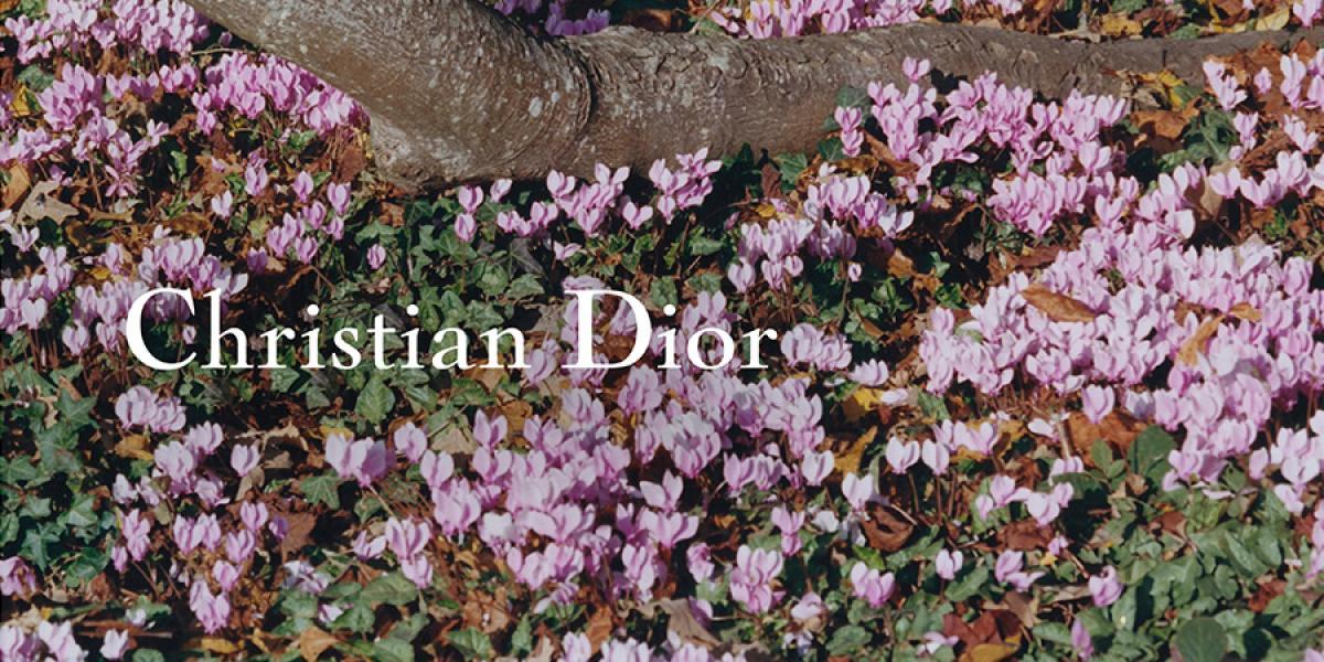 5105165b ba4a 4645 9498 07f5a169400e file.jpg