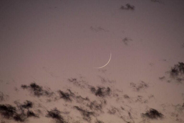 515d2f87 ae3b 400d a9f2 b78f4c53449b file.jpg