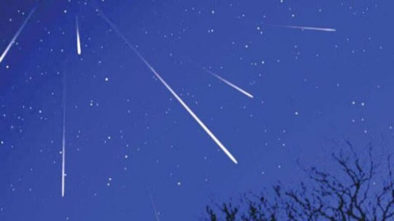 5351340d 3478 4f68 ae90 1350564eecb4 file.jpg