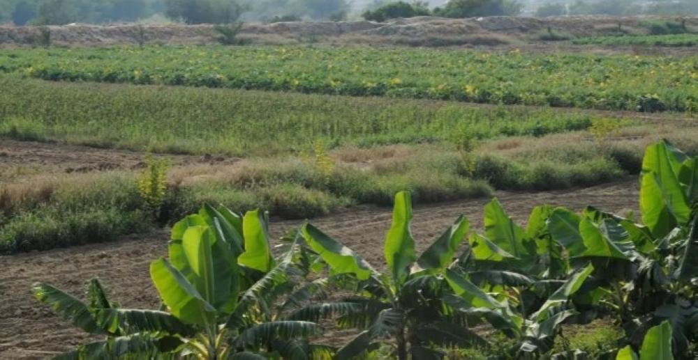 53fed2de 6c1a 484e b6d8 5d20b1b847c0 file.jpg