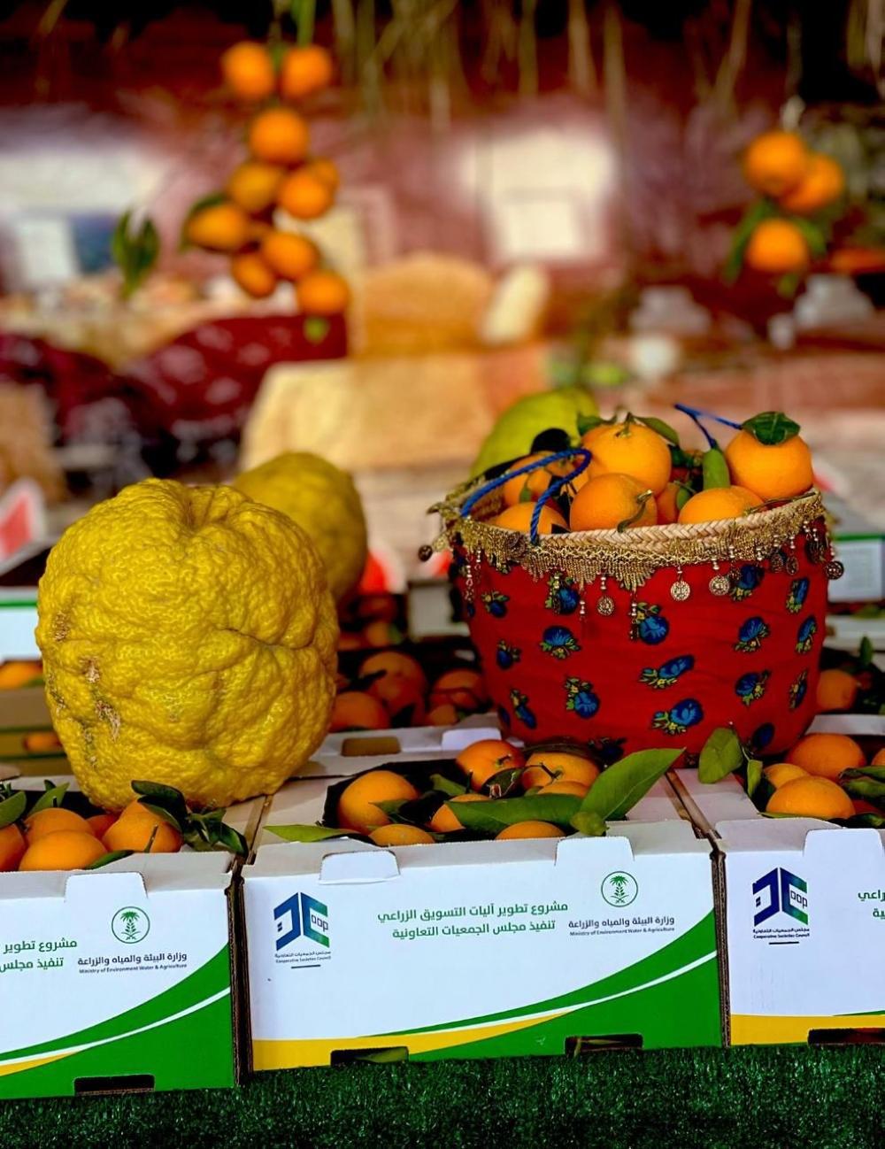 551ff0f5 787b 4129 b954 9ecc4be37af1 file.jpg