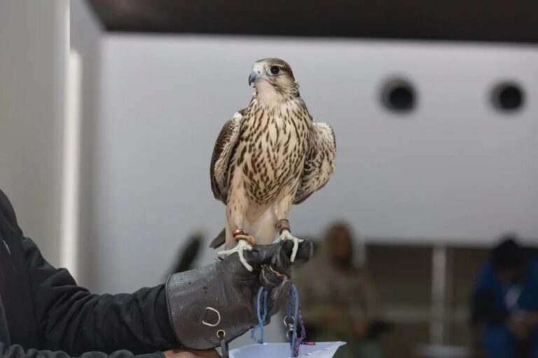 555a1fda 0646 45c7 ab28 9c3965b8b2e6 file.jpg