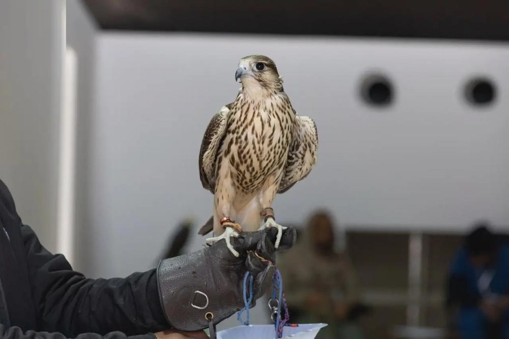 555a1fda 0646 45c7 ab28 9c3965b8b2e6 file.jpg