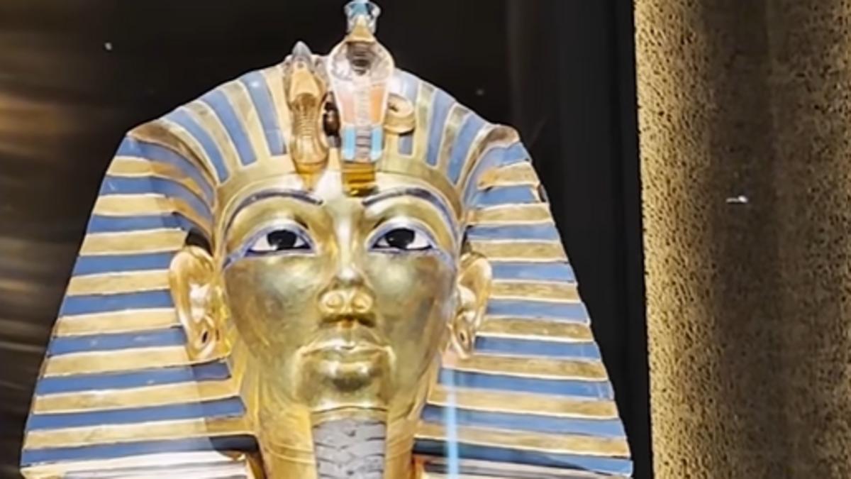 557bf7f1 4352 4547 a44e fcbaf8689431 file.jpg