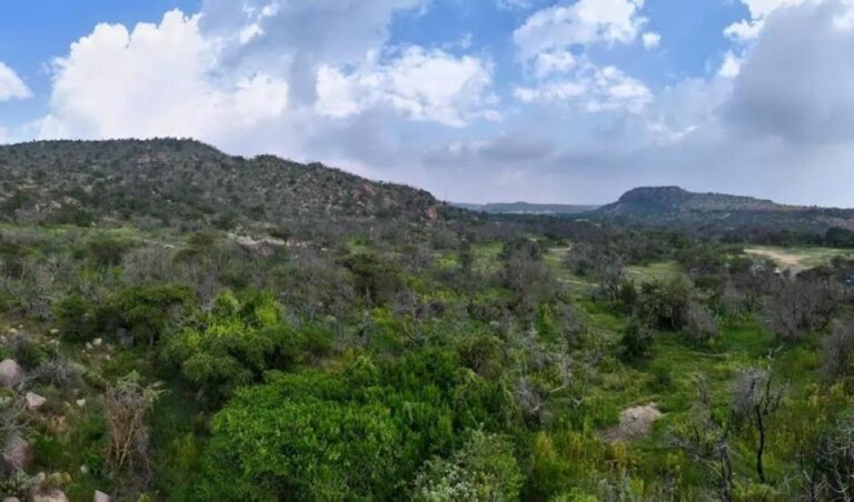 5f142329 dbb9 4368 97c0 e12273f4af18 file.jpg