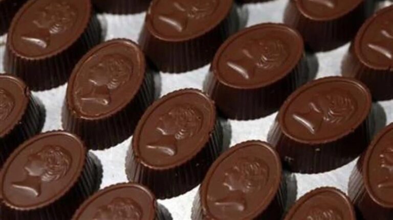 610962c8 8baa 4df1 a9a3 65bfb16ce2bf file.jpg