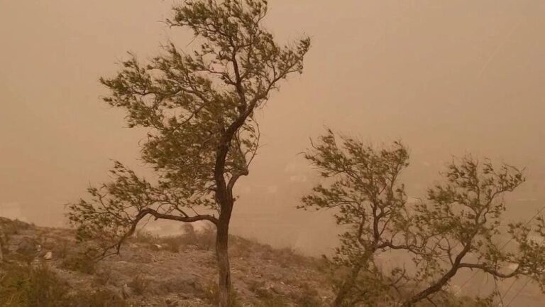 61a3da89 24cd 4c3f bae2 dd09bbfa7dec file.jpg