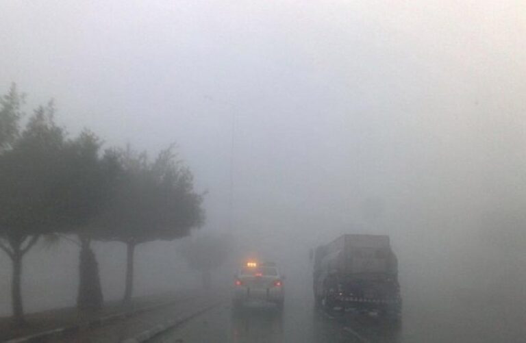 621a59dd 44f9 4163 a84b 38144e6ab5b4 file.jpg