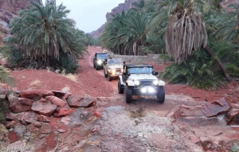 6305ad47 d2b6 40c3 8d35 ca0412ecf436 file.jpg