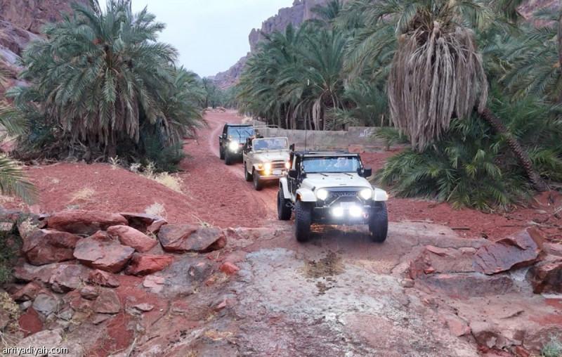 6305ad47 d2b6 40c3 8d35 ca0412ecf436 file.jpg