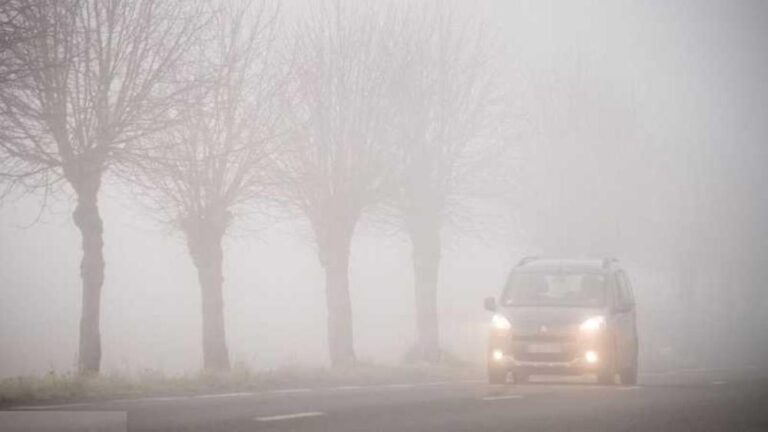 63c49df2 ac43 47f4 ada0 b59c52c8caed file.jpg