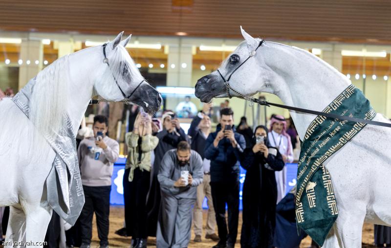 6497a42c 287a 4359 83ac af4e84a657d1 file.jpg