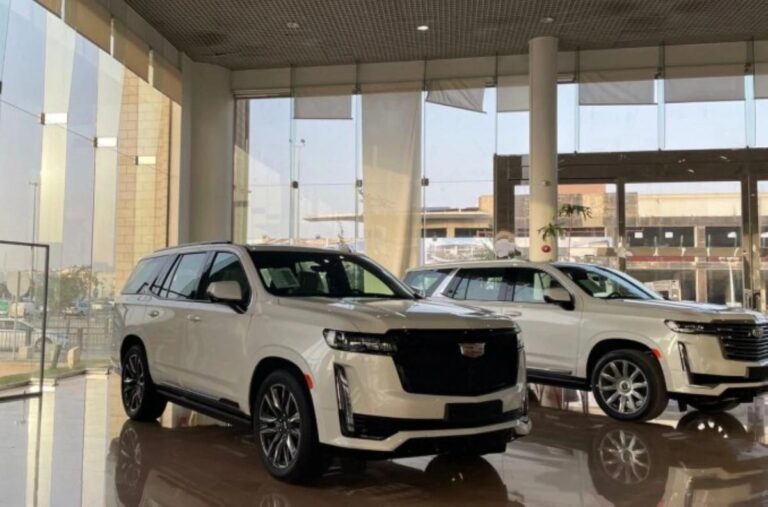 67ff06df bfa0 4188 8cf2 bced23bcba20 file.jpg