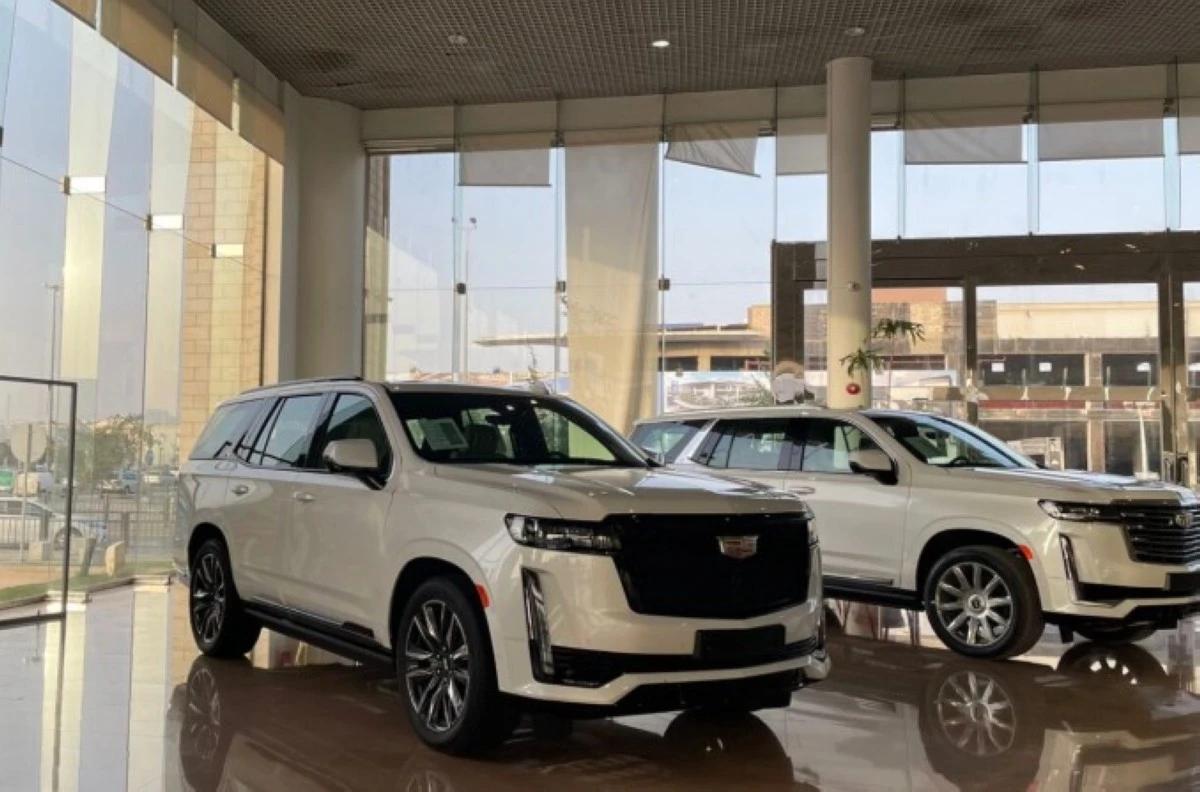 67ff06df bfa0 4188 8cf2 bced23bcba20 file.jpg