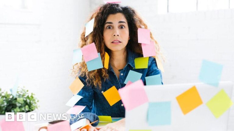 68720216 5b13 44b1 bcc4 0e59243be339 file.jpg