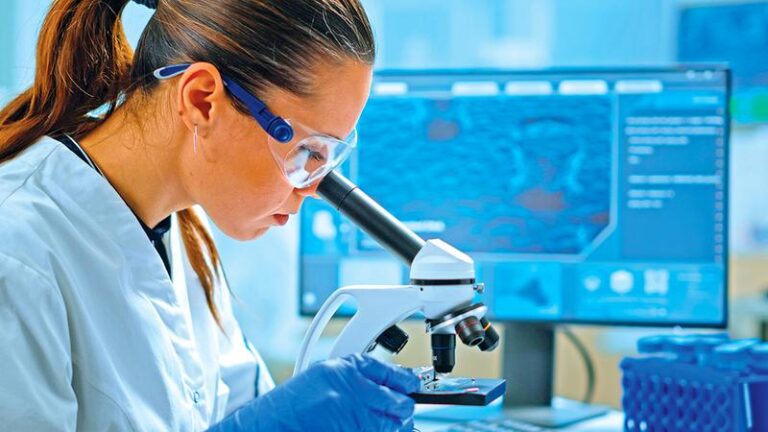 6b85bad1 a60f 40db 9aba f06d78b16dd9 file.jpg