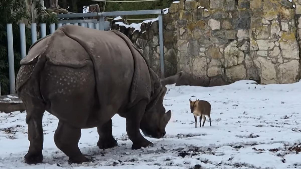 6e234ea5 0213 4573 a2b3 75669e455895 file.jpg