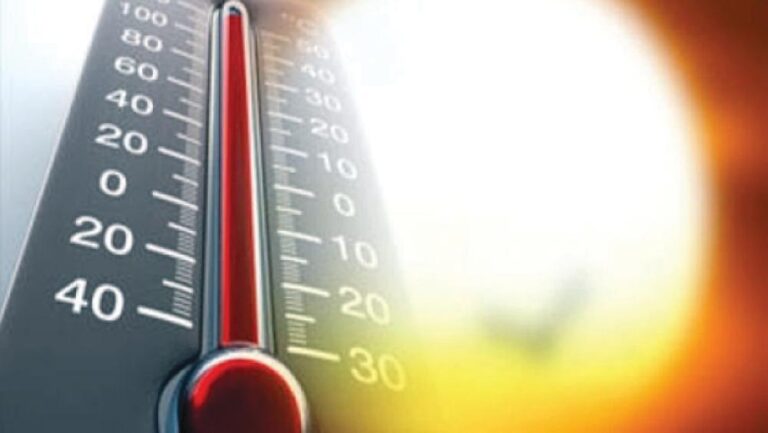 70d86c53 8269 4bb1 9304 ca635ac550ee file.jpg