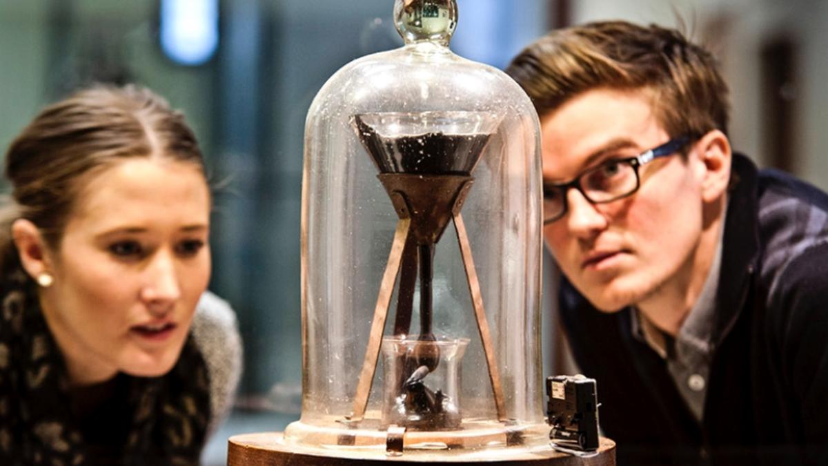 75d745fc e1cc 4c63 bb58 a8b17a3ca873 file.jpg