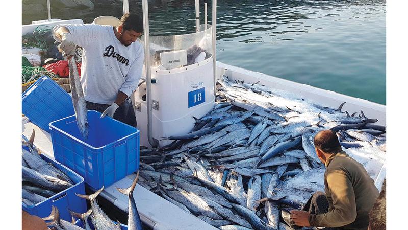 76159003 9b3c 489a 8610 21012955c9fb file.jpg