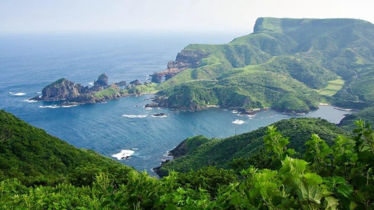 7a17a950 bc61 4627 8d0e 9d86ea703310 file.jpg