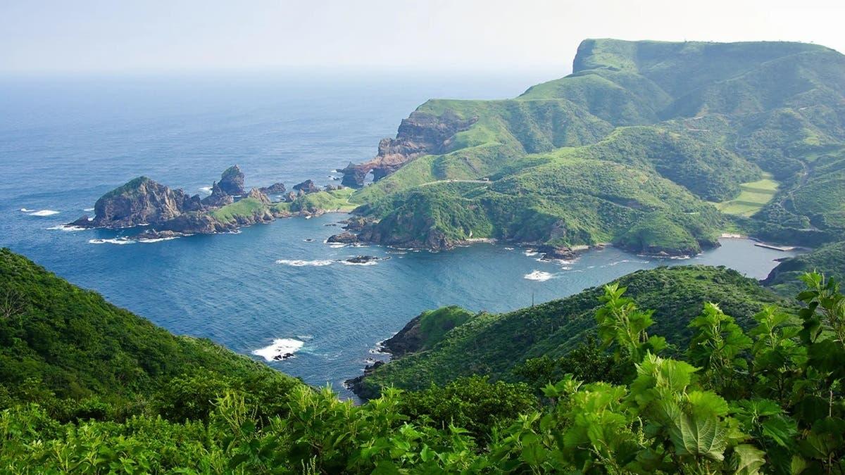 7a17a950 bc61 4627 8d0e 9d86ea703310 file.jpg