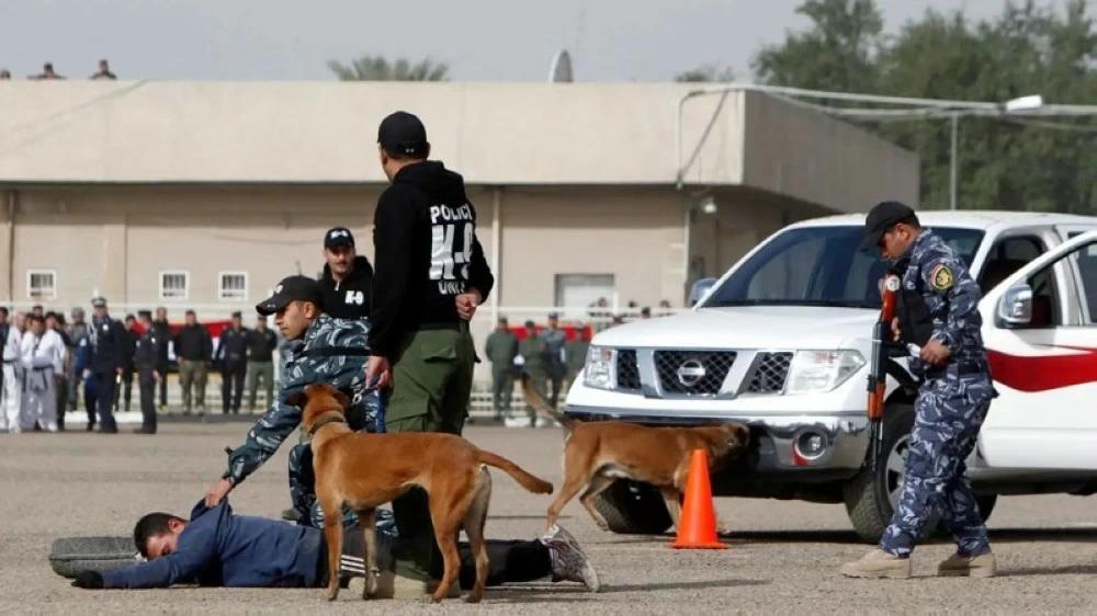 7a7d2047 a3b6 4fb3 88ea 69e55012519d file.jpg