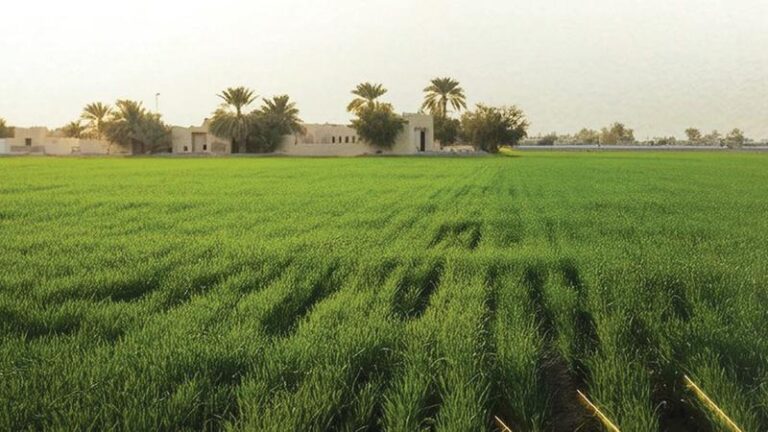 7c06635c 5d5e 4918 9b6d f806f49f4125 file.jpg