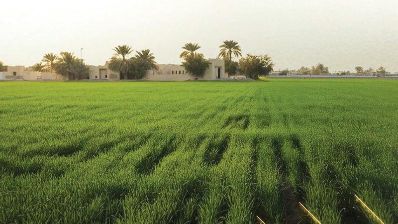 7c06635c 5d5e 4918 9b6d f806f49f4125 file.jpg