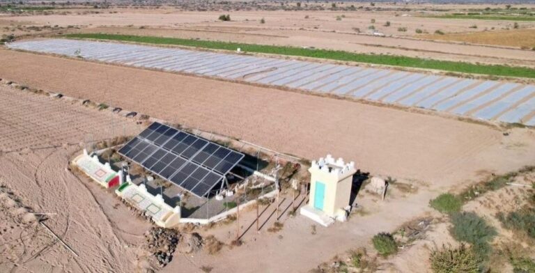 7d27e5b6 9f43 4aef 829f 9c58fbae70c0 file.jpg