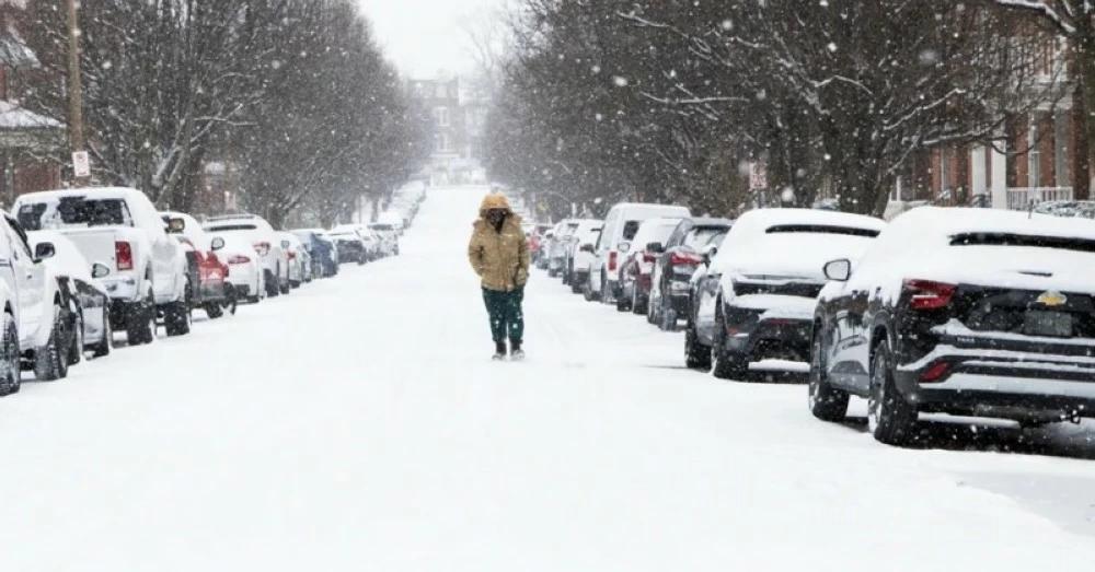 7e8f2192 f29c 4ac8 a850 4881269c9ee0 file.jpg